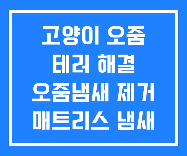 고양이 오줌 테러 해결 오줌냄새 제거 매트리스 냄새 고양이 오줌 테러 해결 오줌냄새 제거 매트리스 냄새