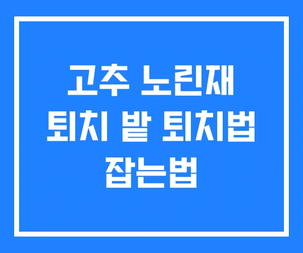고추 노린재 퇴치 밭 퇴치법 잡는법
