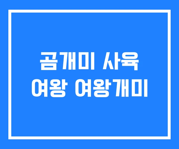 곰개미 사육 여왕 여왕개미 곰개미 사육 여왕 여왕개미