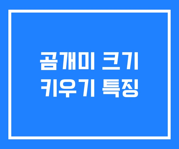 곰개미 크기 키우기 특징 곰개미 크기 키우기 특징