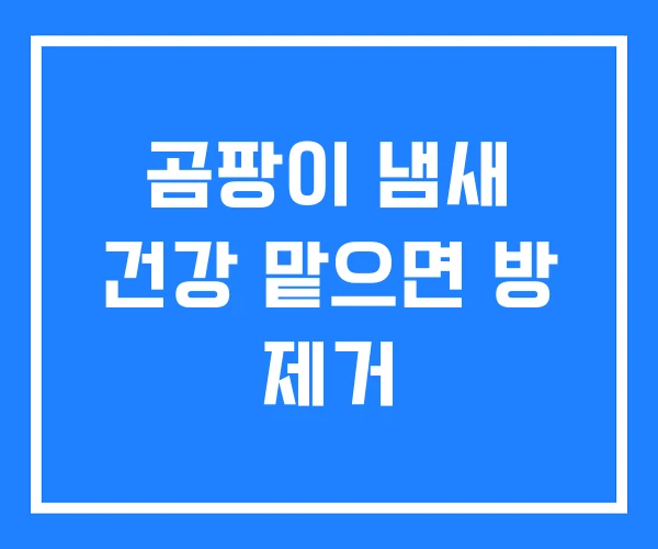 곰팡이 냄새 건강 맡으면 방 제거
