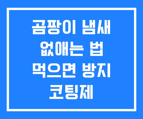 곰팡이 냄새 없애는 법 먹으면 방지 코팅제