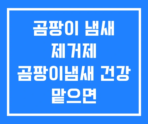 곰팡이 냄새 제거제 곰팡이냄새 건강 맡으면