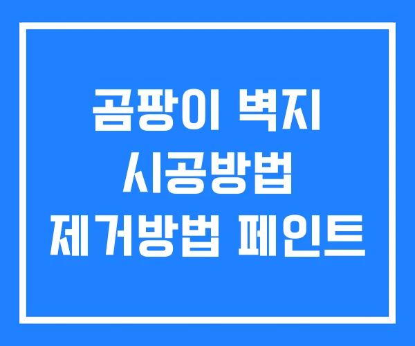 곰팡이 벽지 시공방법 제거방법 페인트 곰팡이 벽지 시공방법 제거방법 페인트