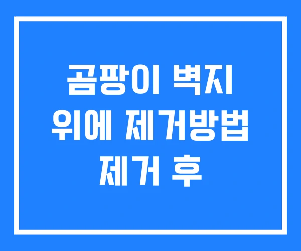 곰팡이 벽지 위에 제거방법 제거 후