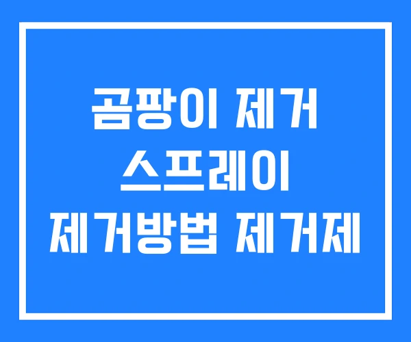 곰팡이 제거 스프레이 제거방법 제거제