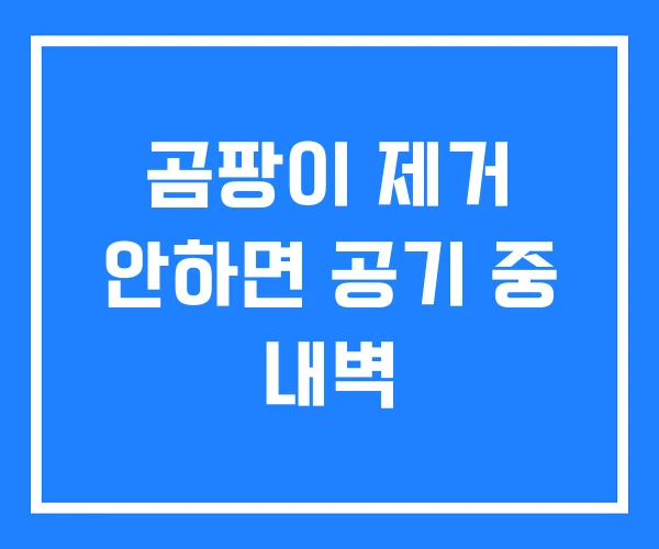 곰팡이 제거 안하면 공기 중 내벽 곰팡이 제거 안하면 공기 중 내벽