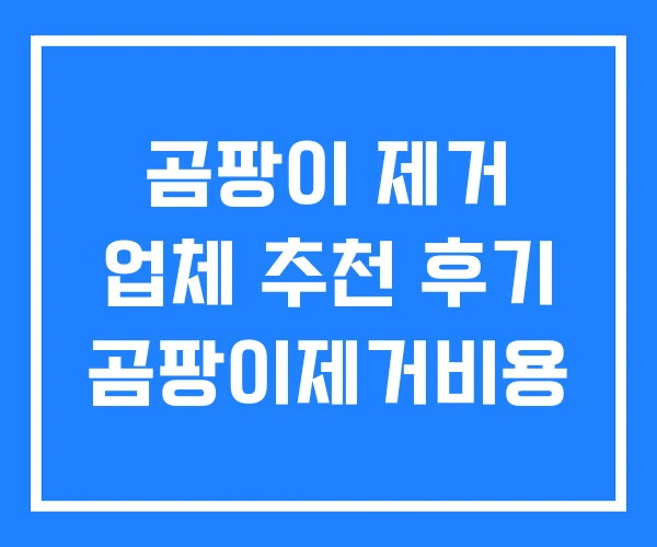 곰팡이 제거 업체 추천 후기 곰팡이제거비용
