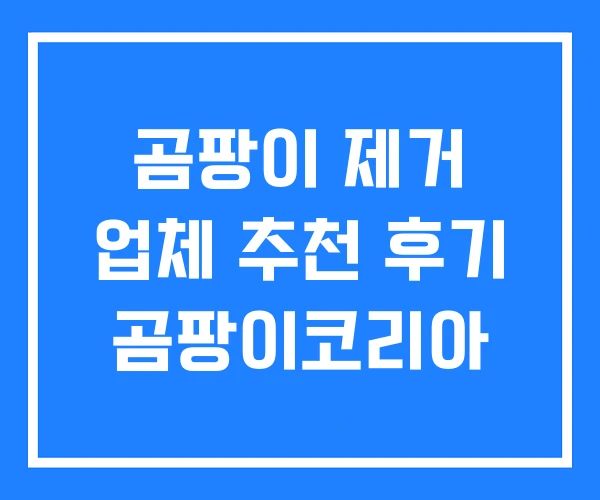 곰팡이 제거 업체 추천 후기 곰팡이코리아