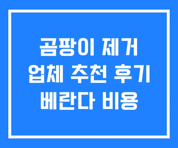 곰팡이 제거 업체 추천 후기 베란다 비용 곰팡이 제거 업체 추천 후기 베란다 비용