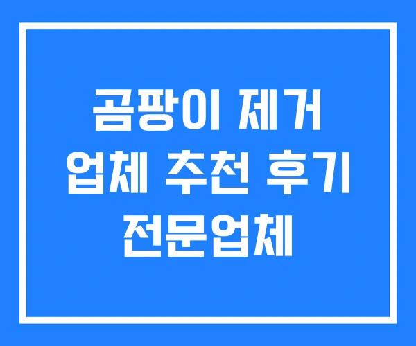 곰팡이 제거 업체 추천 후기 전문업체 곰팡이 제거 업체 추천 후기 전문업체
