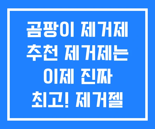 곰팡이 제거제 추천 제거제는 이제 진짜 최고! 제거젤
