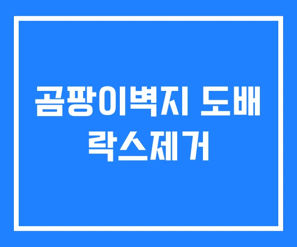 곰팡이벽지 도배 락스제거 곰팡이벽지 도배 락스제거