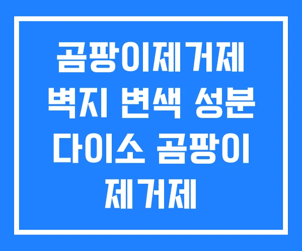 곰팡이제거제 벽지 변색 성분 다이소 곰팡이 제거제