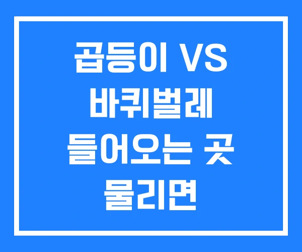 곱등이 VS 바퀴벌레 들어오는 곳 물리면 곱등이 VS 바퀴벌레 들어오는 곳 물리면
