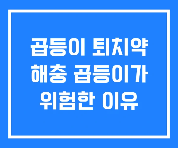 곱등이 퇴치약 해충 곱등이가 위험한 이유 곱등이 퇴치약 해충 곱등이가 위험한 이유
