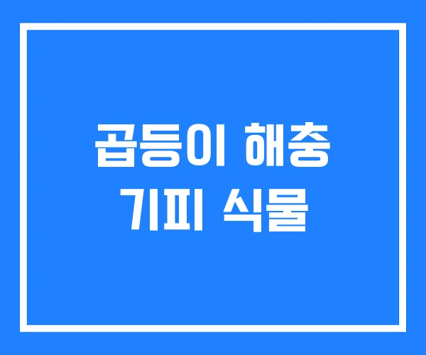 곱등이 해충 기피 식물 곱등이 해충 기피 식물