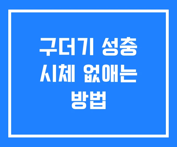 구더기 성충 시체 없애는 방법 구더기 성충 시체 없애는 방법