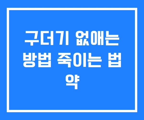 구더기 없애는 방법 죽이는 법 약