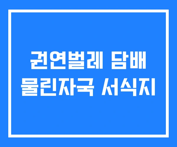 권연벌레 담배 물린자국 서식지