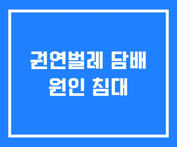 권연벌레 담배 원인 침대