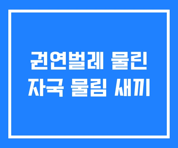 권연벌레 물린 자국 물림 새끼 권연벌레 물린 자국 물림 새끼