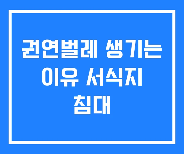 권연벌레 생기는 이유 서식지 침대 권연벌레 생기는 이유 서식지 침대