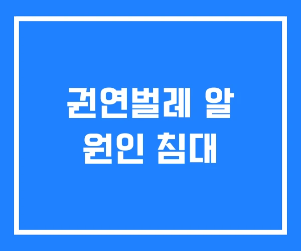 권연벌레 알 원인 침대