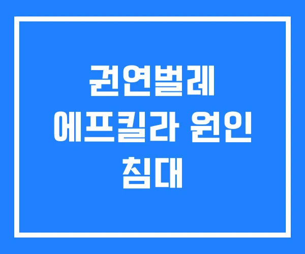 권연벌레 에프킬라 원인 침대