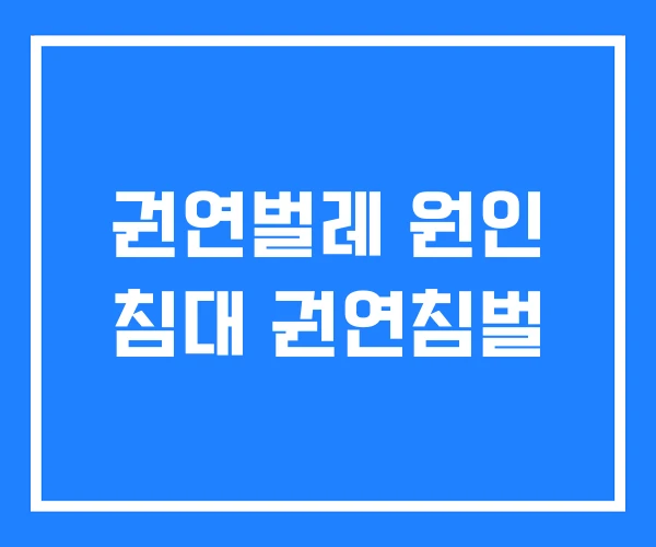 권연벌레 원인 침대 권연침벌 권연벌레 원인 침대 권연침벌
