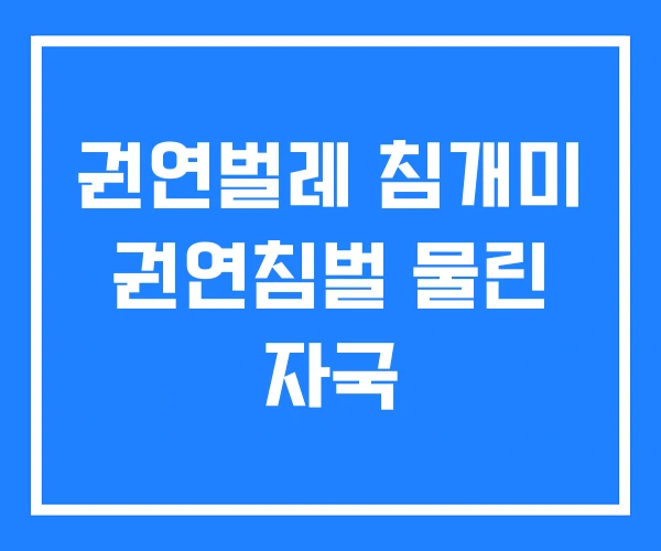 권연벌레 침개미 권연침벌 물린 자국