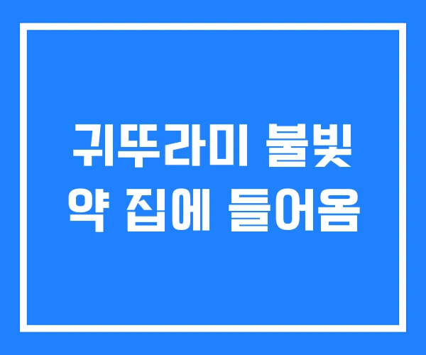 귀뚜라미 불빛 약 집에 들어옴