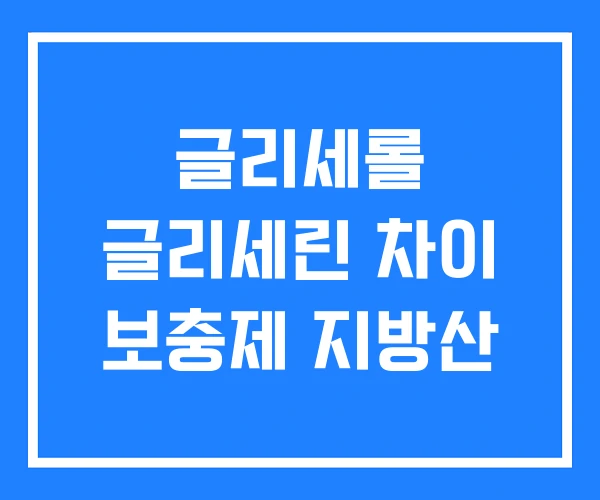 글리세롤 글리세린 차이 보충제 지방산