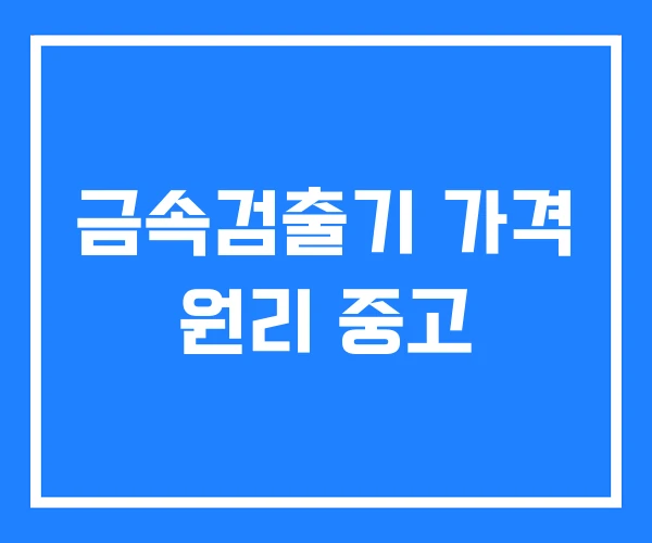 금속검출기 가격 원리 중고