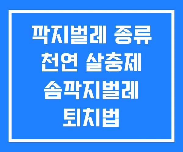 깍지벌레 종류 천연 살충제 솜깍지벌레 퇴치법