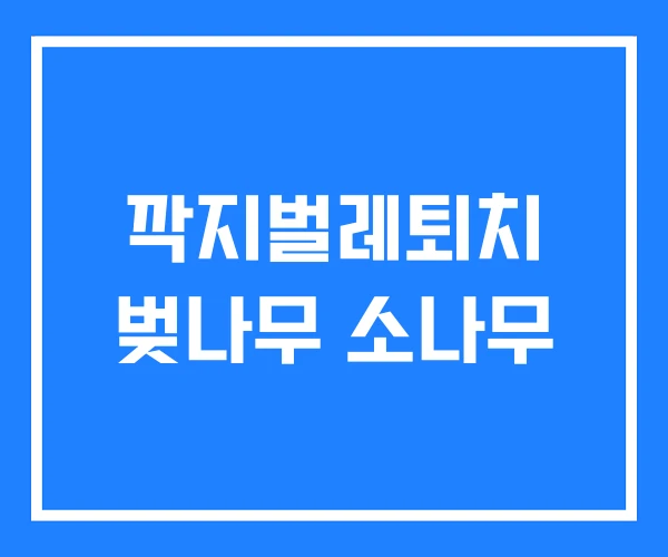 깍지벌레퇴치 벚나무 소나무