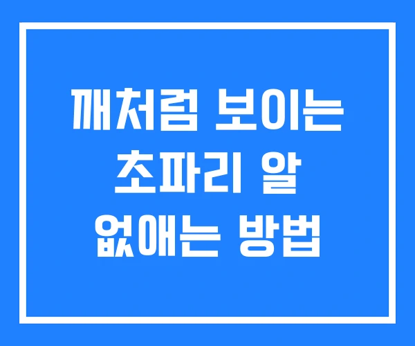 깨처럼 보이는 초파리 알 없애는 방법
