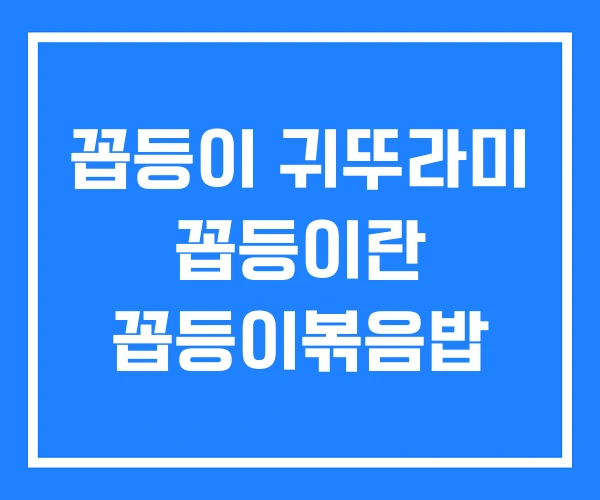 꼽등이 귀뚜라미 꼽등이란 꼽등이볶음밥
