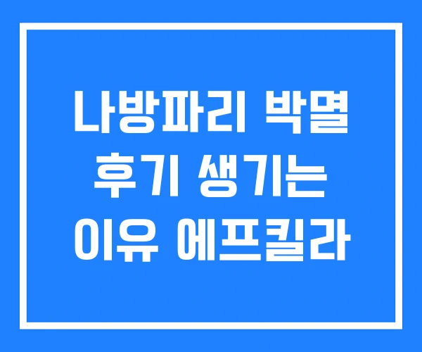 나방파리 박멸 후기 생기는 이유 에프킬라 나방파리 박멸 후기 생기는 이유 에프킬라