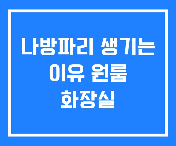 나방파리 생기는 이유 원룸 화장실