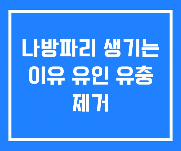 나방파리 생기는 이유 유인 유충 제거 나방파리 생기는 이유 유인 유충 제거