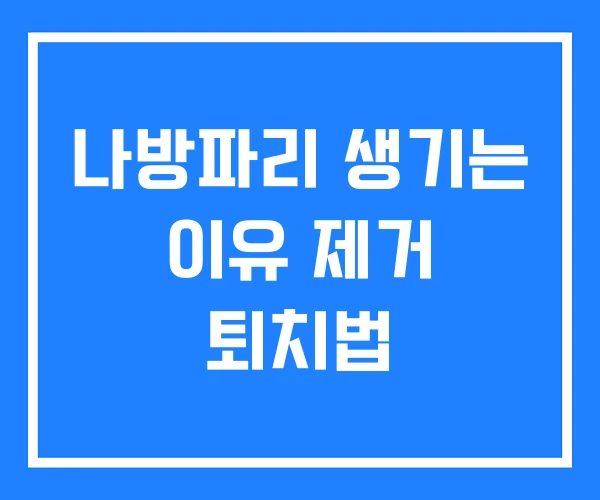 나방파리 생기는 이유 제거 퇴치법 나방파리 생기는 이유 제거 퇴치법