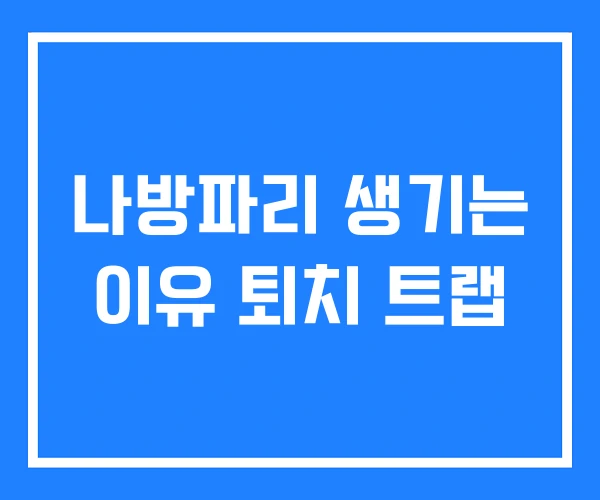 나방파리 생기는 이유 퇴치 트랩