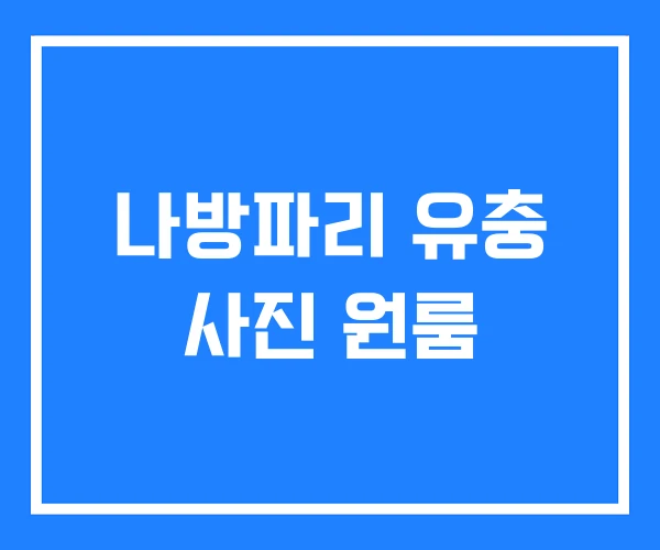 나방파리 유충 사진 원룸