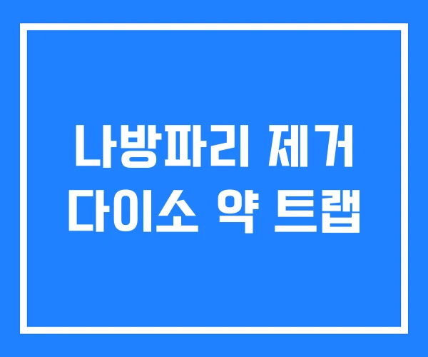 나방파리 제거 다이소 약 트랩 나방파리 제거 다이소 약 트랩