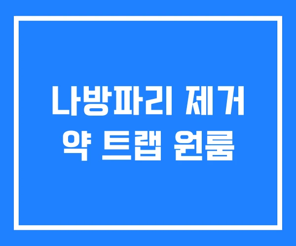 나방파리 제거 약 트랩 원룸 나방파리 제거 약 트랩 원룸