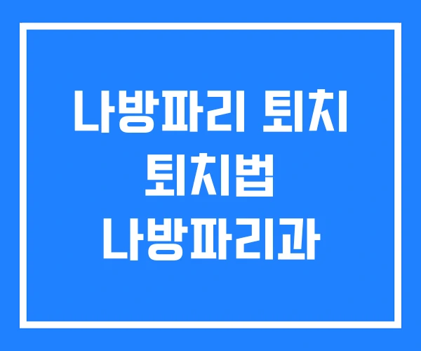 나방파리 퇴치 퇴치법 나방파리과