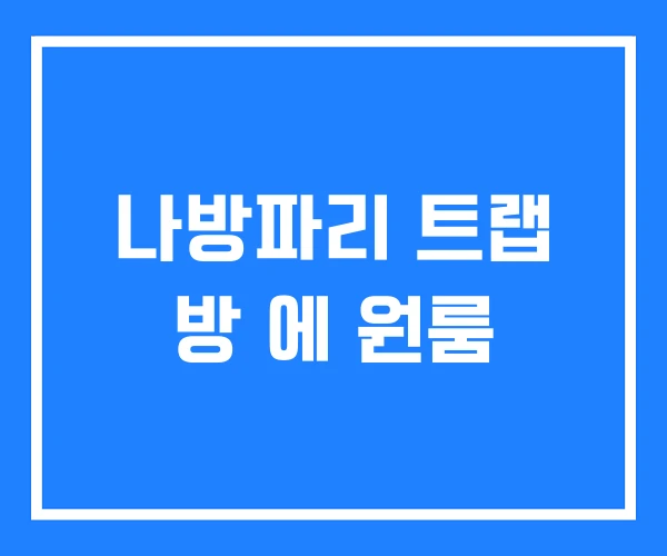 나방파리 트랩 방 에 원룸