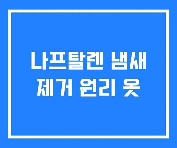 나프탈렌 냄새 제거 원리 옷 나프탈렌 냄새 제거 원리 옷
