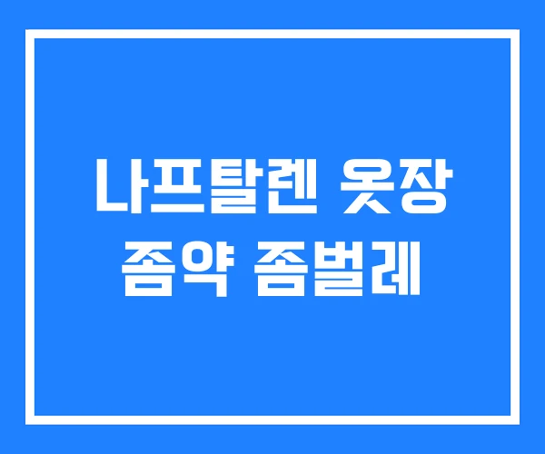 나프탈렌 옷장 좀약 좀벌레 나프탈렌 옷장 좀약 좀벌레